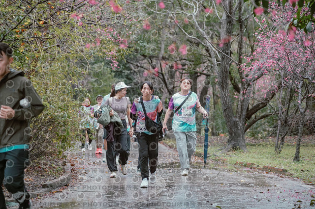 2026左岸竹東櫻花馬拉松Zhudong Sakura Marathon