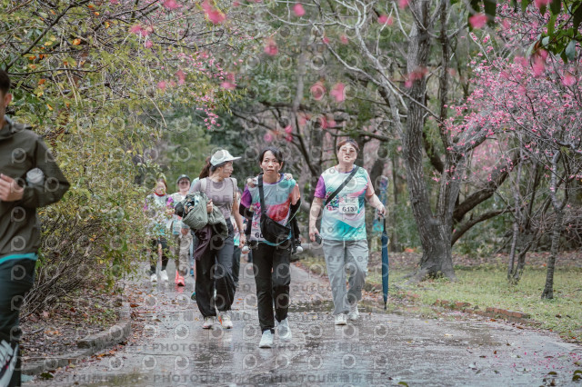 2026左岸竹東櫻花馬拉松Zhudong Sakura Marathon