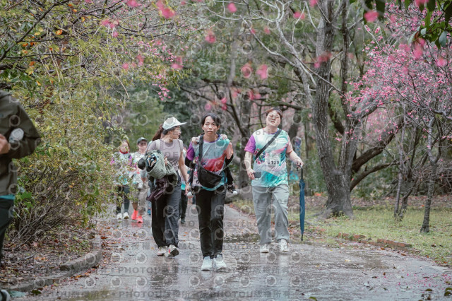 2026左岸竹東櫻花馬拉松Zhudong Sakura Marathon