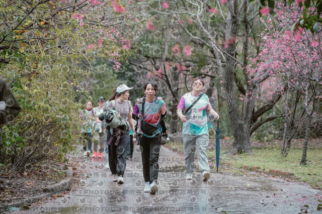 2026左岸竹東櫻花馬拉松Zhudong Sakura Marathon
