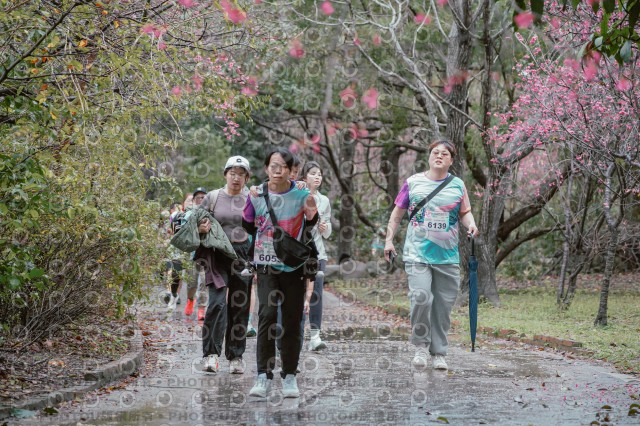 2026左岸竹東櫻花馬拉松Zhudong Sakura Marathon