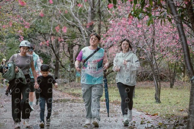 2026左岸竹東櫻花馬拉松Zhudong Sakura Marathon