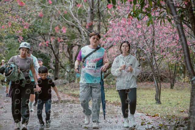 2026左岸竹東櫻花馬拉松Zhudong Sakura Marathon