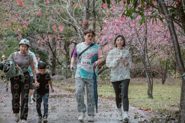 2026左岸竹東櫻花馬拉松Zhudong Sakura Marathon