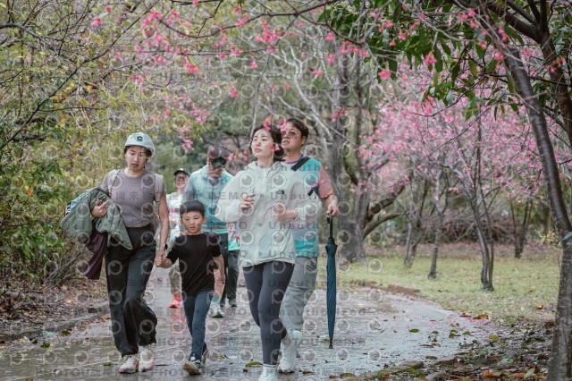 2026左岸竹東櫻花馬拉松Zhudong Sakura Marathon