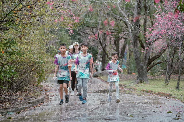 2026左岸竹東櫻花馬拉松Zhudong Sakura Marathon