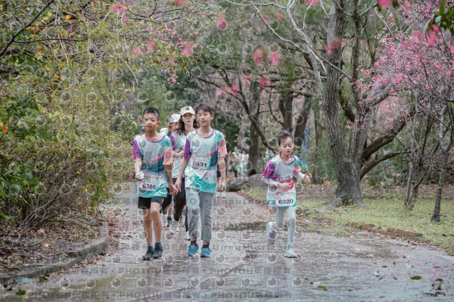 2026左岸竹東櫻花馬拉松Zhudong Sakura Marathon