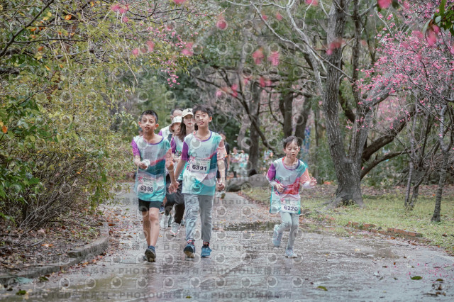 2026左岸竹東櫻花馬拉松Zhudong Sakura Marathon