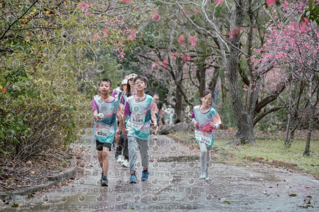 2026左岸竹東櫻花馬拉松Zhudong Sakura Marathon