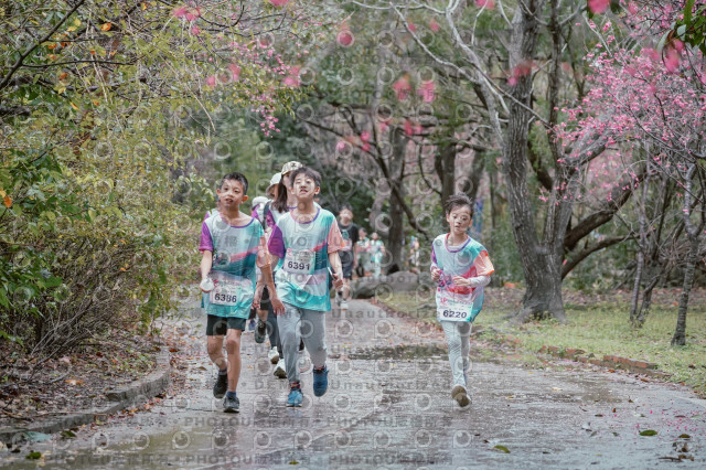 2026左岸竹東櫻花馬拉松Zhudong Sakura Marathon