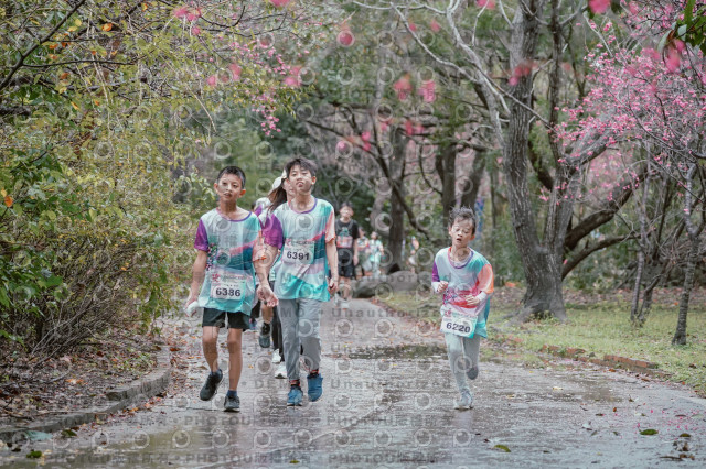 2026左岸竹東櫻花馬拉松Zhudong Sakura Marathon