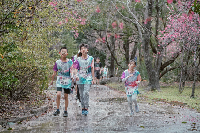 2026左岸竹東櫻花馬拉松Zhudong Sakura Marathon