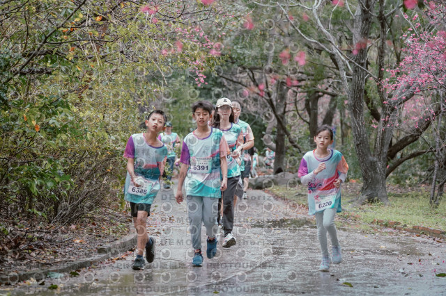 2026左岸竹東櫻花馬拉松Zhudong Sakura Marathon