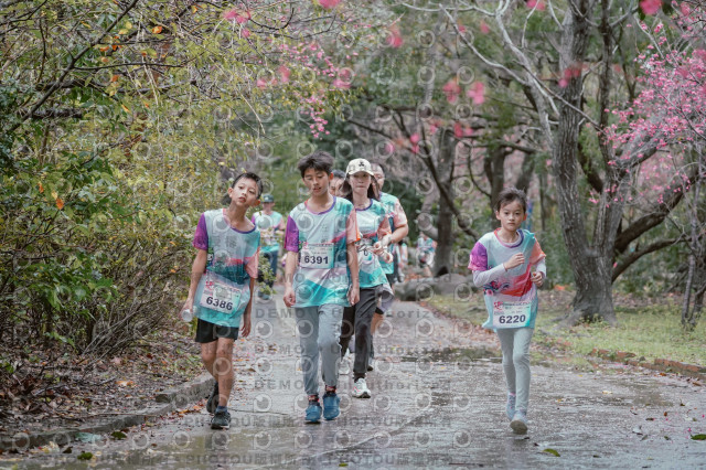 2026左岸竹東櫻花馬拉松Zhudong Sakura Marathon