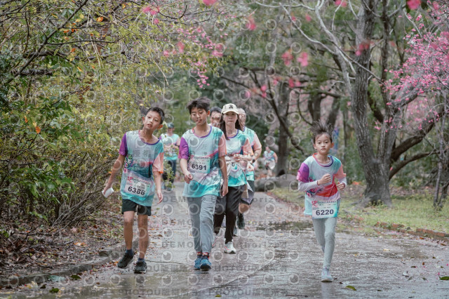 2026左岸竹東櫻花馬拉松Zhudong Sakura Marathon