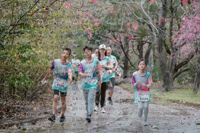 2026左岸竹東櫻花馬拉松Zhudong Sakura Marathon