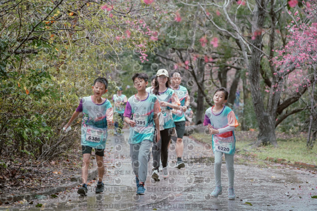 2026左岸竹東櫻花馬拉松Zhudong Sakura Marathon