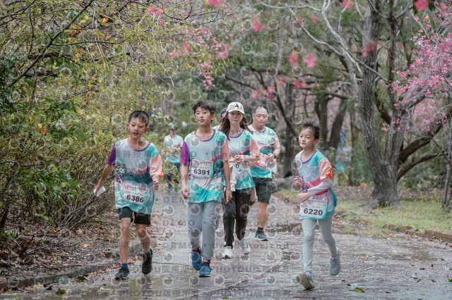 2026左岸竹東櫻花馬拉松Zhudong Sakura Marathon