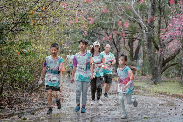 2026左岸竹東櫻花馬拉松Zhudong Sakura Marathon