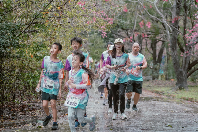 2026左岸竹東櫻花馬拉松Zhudong Sakura Marathon