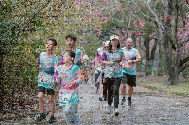 2026左岸竹東櫻花馬拉松Zhudong Sakura Marathon