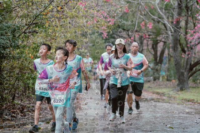 2026左岸竹東櫻花馬拉松Zhudong Sakura Marathon