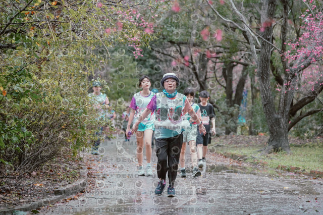 2026左岸竹東櫻花馬拉松Zhudong Sakura Marathon