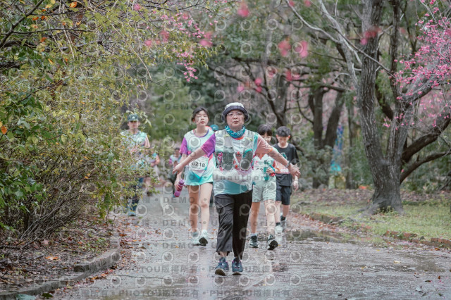 2026左岸竹東櫻花馬拉松Zhudong Sakura Marathon