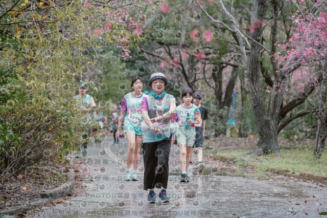 2026左岸竹東櫻花馬拉松Zhudong Sakura Marathon
