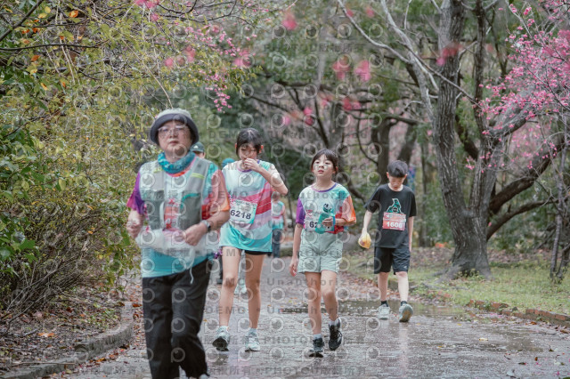 2026左岸竹東櫻花馬拉松Zhudong Sakura Marathon
