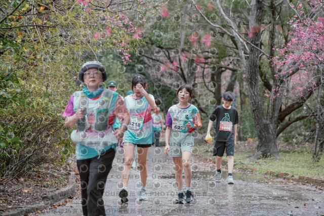 2026左岸竹東櫻花馬拉松Zhudong Sakura Marathon