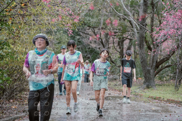 2026左岸竹東櫻花馬拉松Zhudong Sakura Marathon