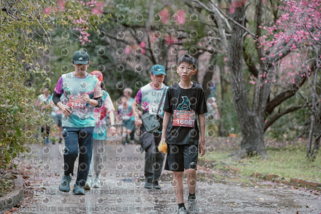 2026左岸竹東櫻花馬拉松Zhudong Sakura Marathon