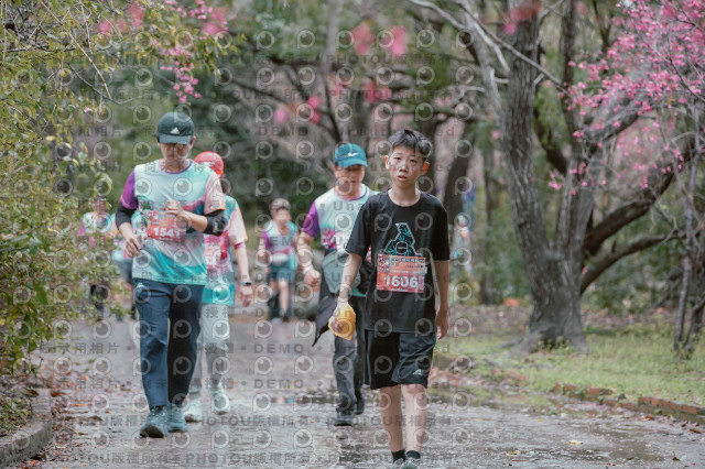 2026左岸竹東櫻花馬拉松Zhudong Sakura Marathon