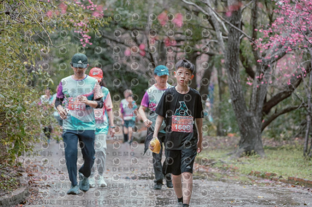 2026左岸竹東櫻花馬拉松Zhudong Sakura Marathon