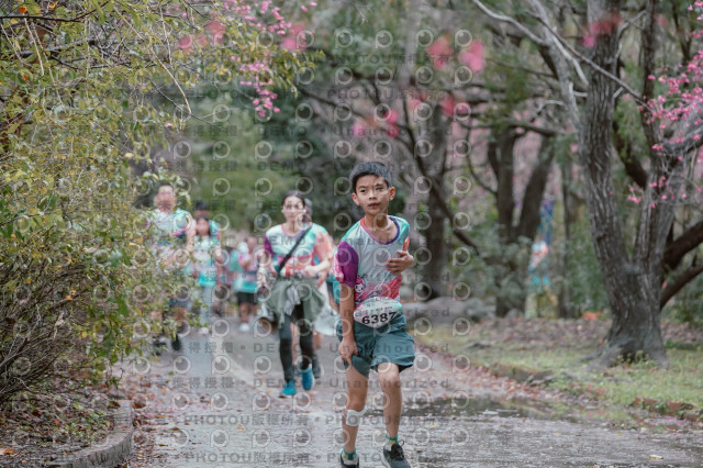 2026左岸竹東櫻花馬拉松Zhudong Sakura Marathon