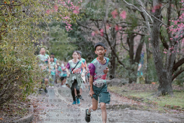 2026左岸竹東櫻花馬拉松Zhudong Sakura Marathon