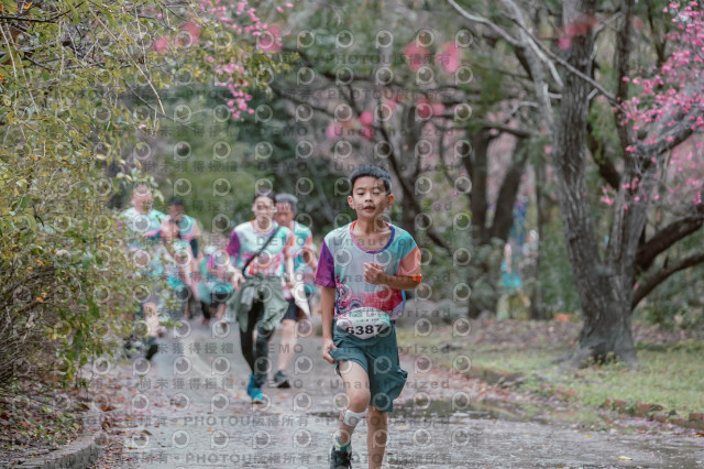 2026左岸竹東櫻花馬拉松Zhudong Sakura Marathon