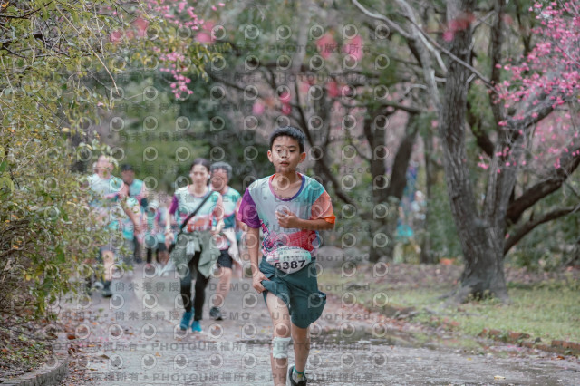 2026左岸竹東櫻花馬拉松Zhudong Sakura Marathon