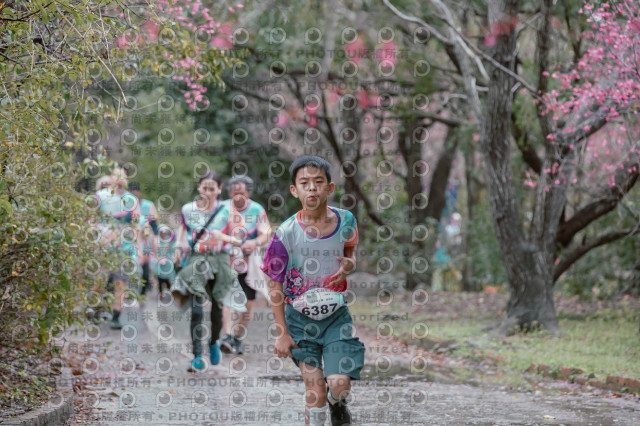 2026左岸竹東櫻花馬拉松Zhudong Sakura Marathon