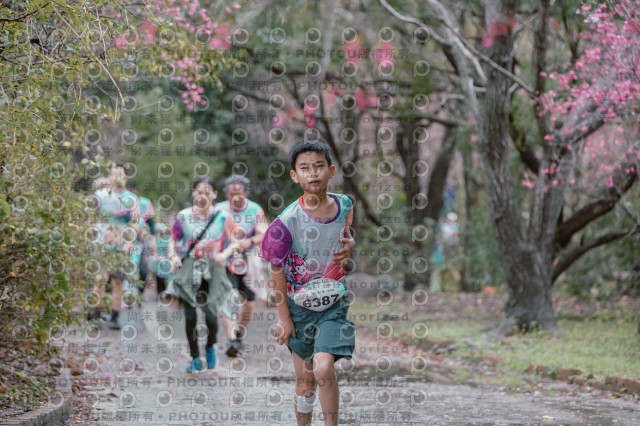 2026左岸竹東櫻花馬拉松Zhudong Sakura Marathon