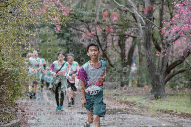 2026左岸竹東櫻花馬拉松Zhudong Sakura Marathon