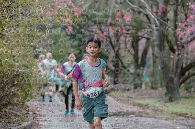 2026左岸竹東櫻花馬拉松Zhudong Sakura Marathon
