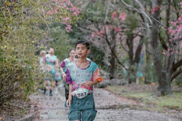 2026左岸竹東櫻花馬拉松Zhudong Sakura Marathon