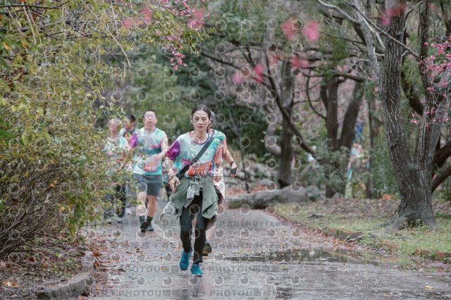 2026左岸竹東櫻花馬拉松Zhudong Sakura Marathon