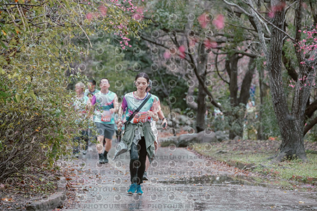 2026左岸竹東櫻花馬拉松Zhudong Sakura Marathon