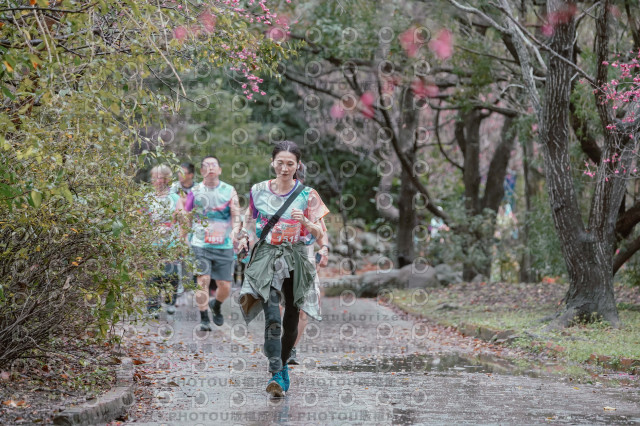 2026左岸竹東櫻花馬拉松Zhudong Sakura Marathon