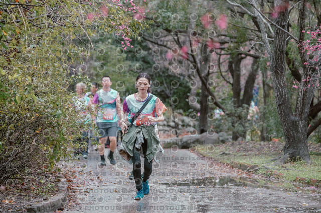 2026左岸竹東櫻花馬拉松Zhudong Sakura Marathon
