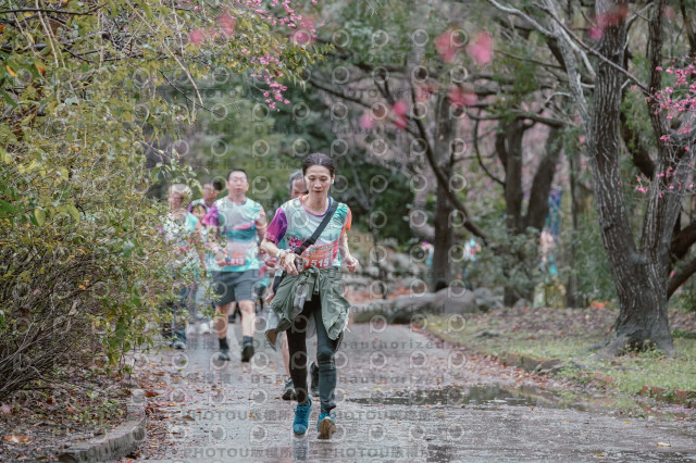 2026左岸竹東櫻花馬拉松Zhudong Sakura Marathon