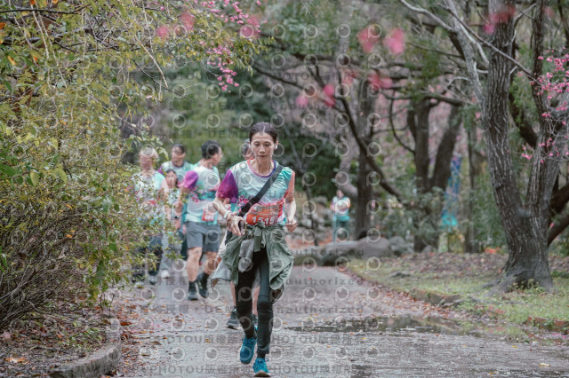 2026左岸竹東櫻花馬拉松Zhudong Sakura Marathon